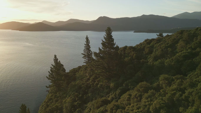 New Zealand